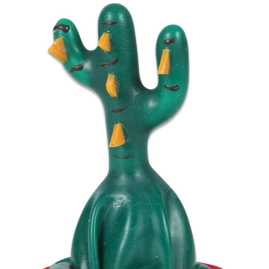 CONDOMERIE - HANDPAINTED NOVELTY CONDOMS CACTUS GLUED - Dreamlove Trading  Company B2B. Wholesale Sextoys, lingerie and Adult Novelties